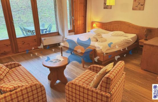 À vendre : Studio rénové avec accès direct aux bains thermaux &#8211; Eaux-Vives ? Ovronnaz, Valais