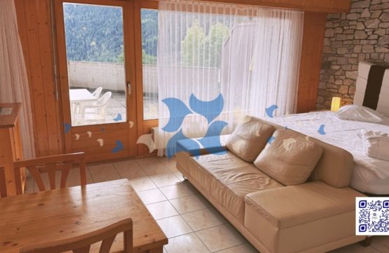 Studio rénové et meublé avec accès direct aux bains thermaux &#8211; Ovronnaz, Valais